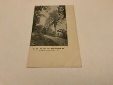 Honesdale, Pa. ~ The “Old Elm” - Rural Road - Unposted Antique Postcard picture