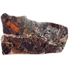 Polished Brecciated Banded Iron Formation, Breccia Pudding Stone, Australia 513g picture