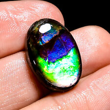 12.00Cts. Natural Ammolite Fire Play Oval 20X13X4 mm Cabochon Loose Gemstone picture