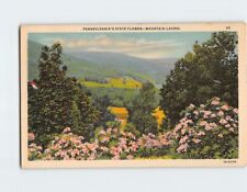 Postcard Mountain Laurel Kalmia Latifolia Pennsylvania State Flower USA picture
