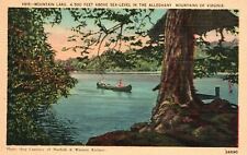 Alleghany Mountains VA-Virginia, Mountain Lake Above Sea Level Vintage Postcard picture
