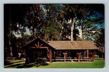 Ocala National Forest FL-Florida, Juniper Springs, c1967 Vintage Postcard picture