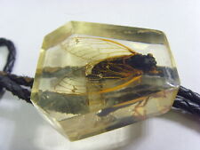 1950s scarce antique real nature bug Lucite bolo tie western America usa 50783 picture