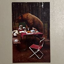 Brown Bear Raiding Picnic Table Yellowstone National Park Vintage Postcard picture