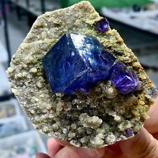 259G Natural Blue-purple cubic fluorite mineral crystal sample/China picture