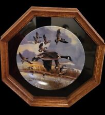 The Landing Donald Pentz Limited Edition Dominion Framed Porcelain Plate Nice picture