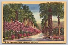 Whittier California, Palm Lined Avenue Cherry Blossoms Orange Grove VTG Postcard picture