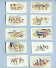 1925 JOHN PLAYER & SONS CIGARETTES DOGS 10 TOBACCO CARD LOT picture