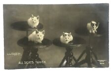 Cat Postcard Real Photo RPPC Rotograph Co All Seats Taken 1905 udb picture