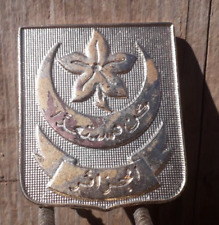 Scout of Algeria, rare Pin 