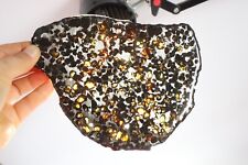 205g Slice meteorites, Rare slices of Kenyan Pallasite olive meteorite B2682 picture