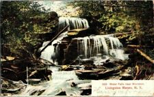 1906. WATER FALLS. LIVINGSTON MANOR, NY. POSTCARD. DC8 picture
