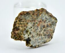 1.62g Erg Chech 002 Ungrouped Achondrite Meteorite Slice - TOP METEORITE picture