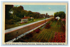 c1940's Dr. Blanchards Floral Rosewood Ave Crystal Beach Ontario Canada Postcard picture