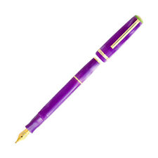 Esterbrook JR Paradise Fountain Pen in Purple Passion - Custom Gena Journaler picture