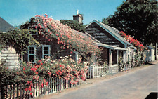 Nantucket Island MA Massachusetts Rose Covered Cottage Postcard 7204 picture