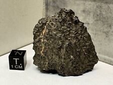 CK4 Carbonaceous Chondrite - 36.7g   NWA 15319    **VERY RARE & BEAUTIFUL CK4** picture