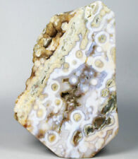 1.19lb Beautiful  Amazing Orbicular Ocean Jasper Agate Crystal Reiki Stone picture