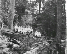 Vintage Photo Negative Logging Camp Children on Log Acme Washington 1920-1950 picture