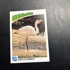 B30s Wildlife In Danger 1992 WWF World Fund #62 James Flamingo picture