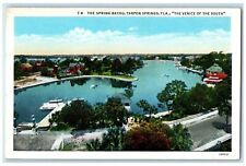 c1920 Spring Bayou Venice South Tarpon Springs Florida Vintage Antique Postcard picture