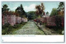 Charlottesville Virginia VA Postcard Serpentine Wall University Of Virginia 1906 picture