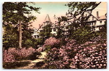 Original Old Antique Vintage Outdoor Postcard Lake Minnewaska House New York USA picture
