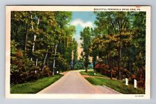 Erie PA-Pennsylvania, Scenic Peninsula Drive, Antique Vintage Souvenir Postcard picture