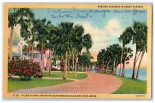 1947 Scene Along Indian River Between Cocoa And Rockledge FL Trees Postcard picture