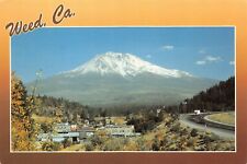 Weed CA California Downtown Mt Mount Shasta Siskiyou County 6x4 Postcard C18 picture