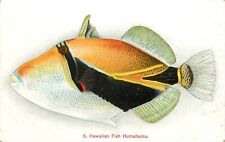 Pvt Mailing Card 5. Hawaiian Fish Humuhumu, Unposted Island Curio Co. picture