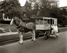 1935 HORSE DRAWN Associated Dairy Delivery Truck 8.5X11 Photo picture