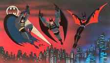 Warner Brothers- Batman and Beyond-Limted Edition Cel- Signed by Bruce Timm picture