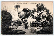 El Matareya Egypt Postcard The Tree of the Virgin in Matarieh c1910 Antique picture