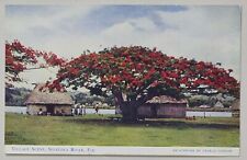 Village Scene Sigatoka River Fiji  Post Card picture