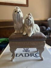LLADRO Perros Maltese From Valencia Spain 06688 Mint Condition In Box picture