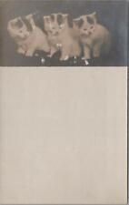 RPPC Postcard Kittens Cats White With Patches c. 1900s  picture