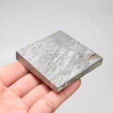 209g Muonionalusta meteorite part slice  A2563 picture