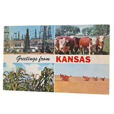 Postcard Greetings From Kansas Oil Wheat Cattle Corn Banner Card Chrome Unposted picture
