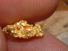 CLASSIC GOLD NUGGET SPECIMEN .66 GRAM NATURAL GOLD AND QUARTZ picture