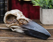 Ebros Bad Omens Witchcraft Gothic Raven Crow Skull Decorative Jewelry Box 8.25