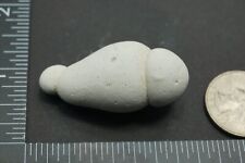 Menilite, Fairy Stone, Nanikana, 15g (Calcite Concretion Mineraloid Opal) #MP8. picture