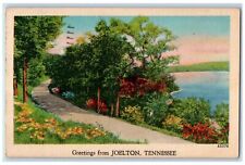 1948 Greetings From Joelton Tree Lake Scene Tennessee TE Posted Vintage Postcard picture