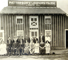 Antique Springfield MO Cabinet Photo Patterson's Poultry Leghorn Farm 1910-20s picture
