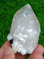 138 GM Quartz Crystal combine with Black Tourmaline, Albite & Mica - Pakistan  picture