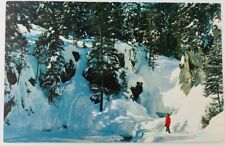 Vintage Rangeley Maine ME Winter at Small's Falls Postcard  picture