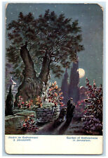 c1910 Moonlight at Garden of Gethsemane Jerusalem Palestine Antique Postcard picture