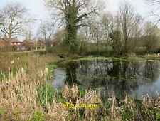 Photo 12x8 Small Pond in Chigwell Row  c2015 picture