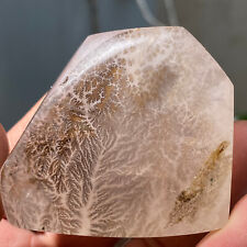 114g Rare Dendrite Pink Rose Quartz Crystal Inclusion Mineral Healing Specimen picture