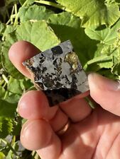Seymchan Meteorite Slice, Russian Pallasite, Meteorite, Pallasite,  17.08 Grams picture